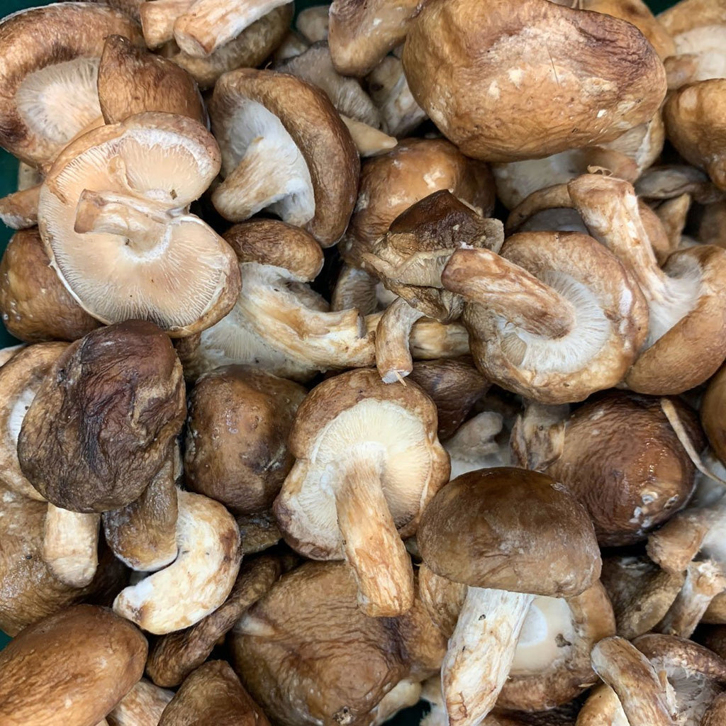 Pickled Mushrooms - With The Fermentation Station