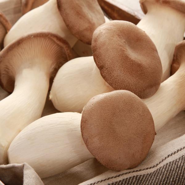 About the King Oyster Mushroom (Pleurotus Eryngii)