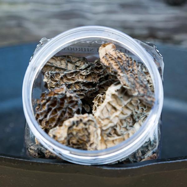 Morel Mushrooms (Morchella Esculenta) Dried and Fresh