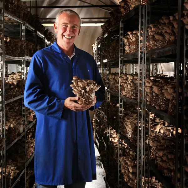 Who are Smithy Mushrooms?