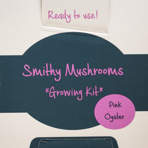 Grow Your Own Oyster Mushrooms - Exotic Grow Kit - Grey
