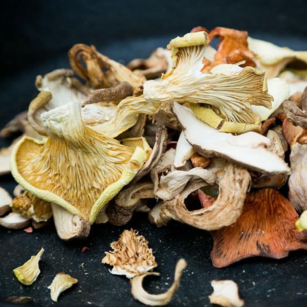 Dried Mushroom Information