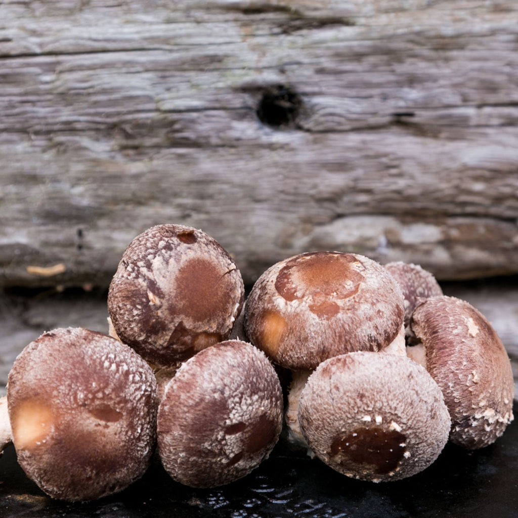 fresh UK shiitake mushrooms