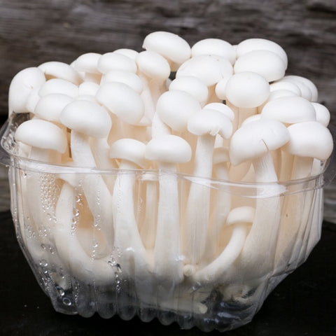 White Shimeji (Japanese Beech Mushroom/Hypsizygus tessellatus) 150g