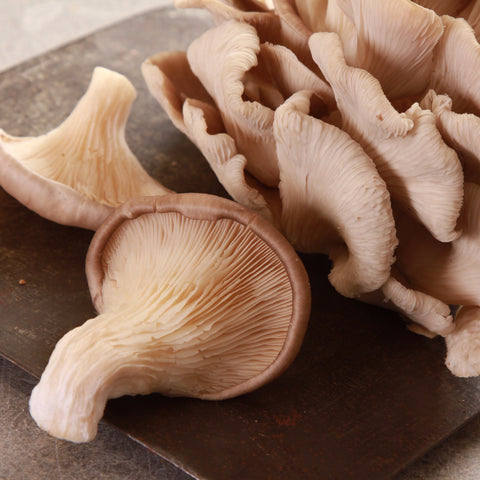 Oyster Mushrooms - Clusters