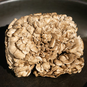 Maitake Mushrooms (Grifola Frondosa)