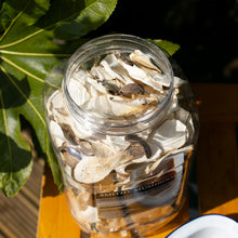 Dried Sliced Eryngii (King Oyster) Mushrooms
