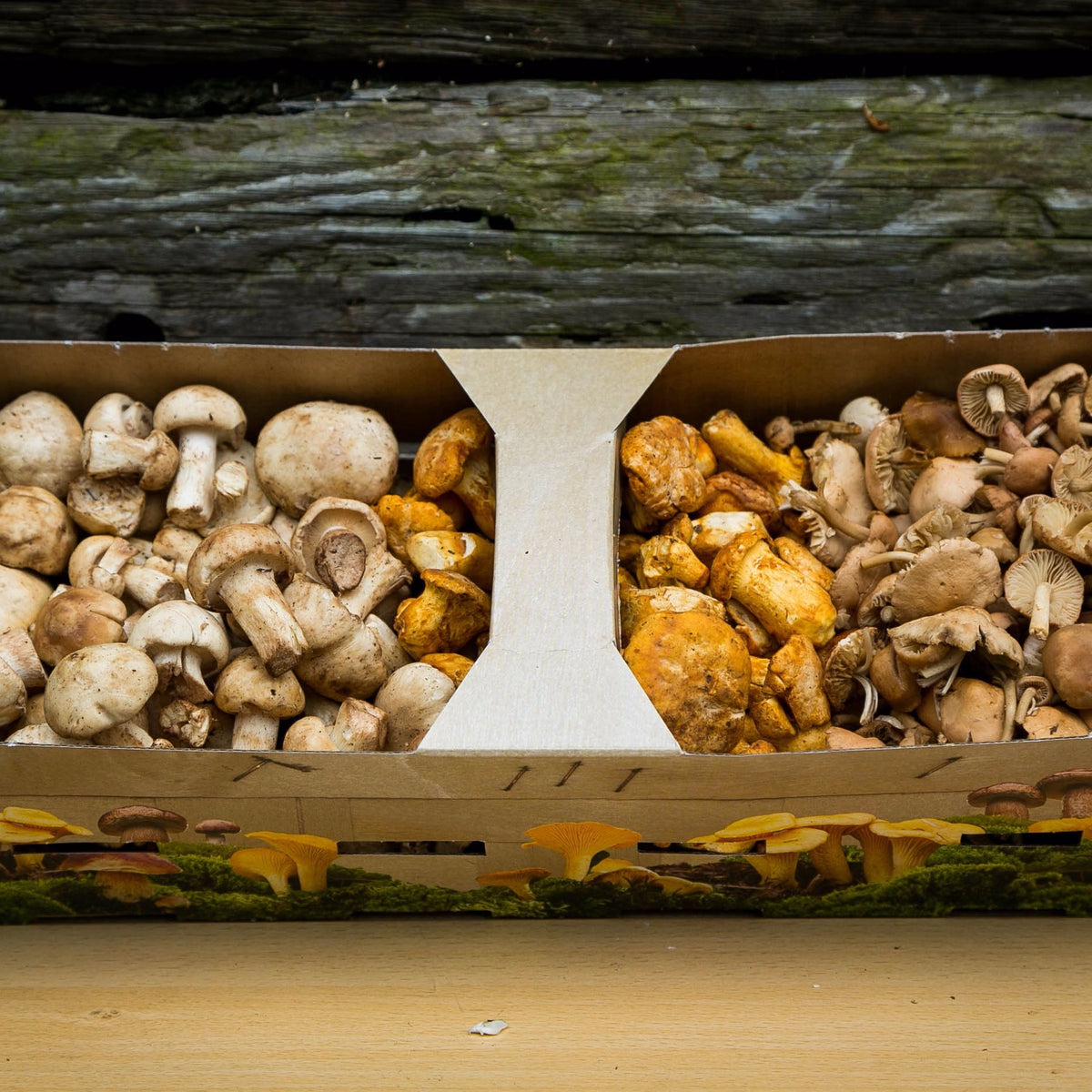 Wild & Exotic Variety Mushroom Mix Black Trumpet, Girolles and Pied