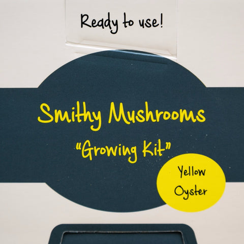 Grow Your Own Oyster Mushrooms - Exotic Grow Kit - Yellow